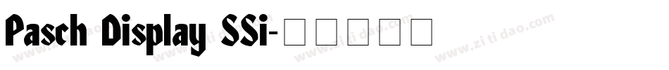 Pasch Display SSi字体转换